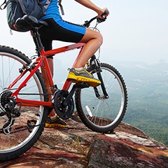 Hybrid Bikes
