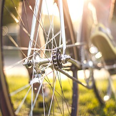 Road Bikes